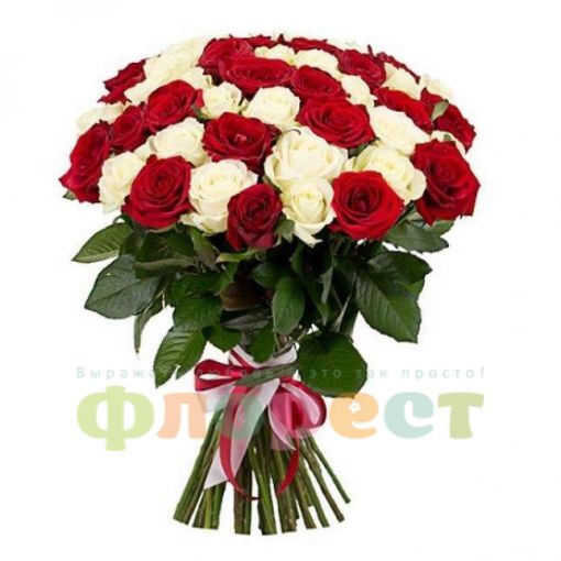 35 czerwono-białe róże